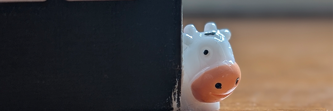 De anatomie van een perfecte eenden-aanval (ja, dat is een ding)