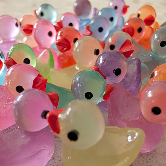 Midnight Quackers