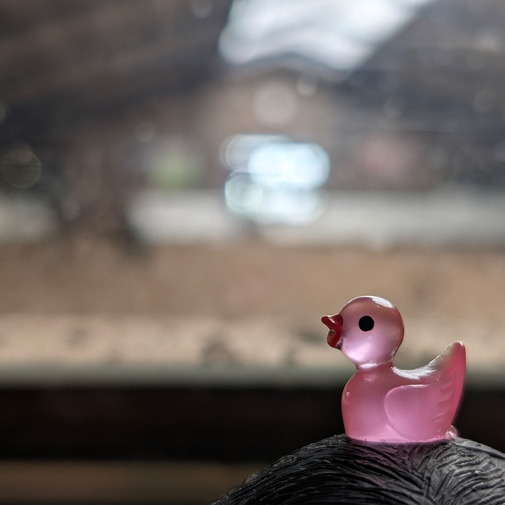 Eendjes Mix (Voor Als Je Niet Kunt Kiezen)